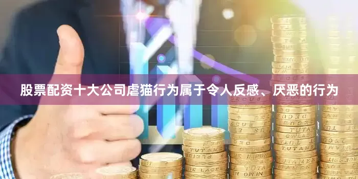 股票配资十大公司虐猫行为属于令人反感、厌恶的行为