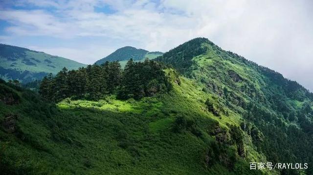 北緯31°錄像帶(北緯31度錄像帶是真的嗎)