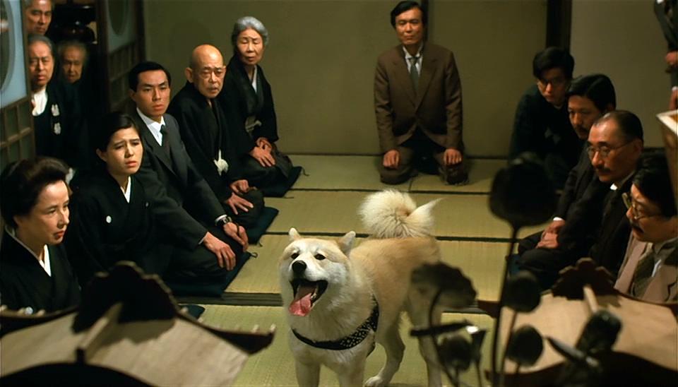 忠犬八公物語(忠犬八公物語豆瓣)