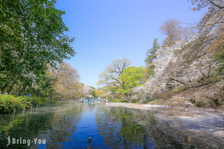 井之頭恩賜公園(井之頭恩賜公園百度百科)