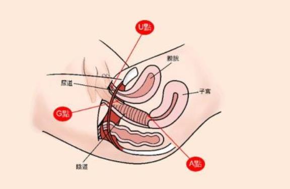 高潮(高潮的英文歌曲)