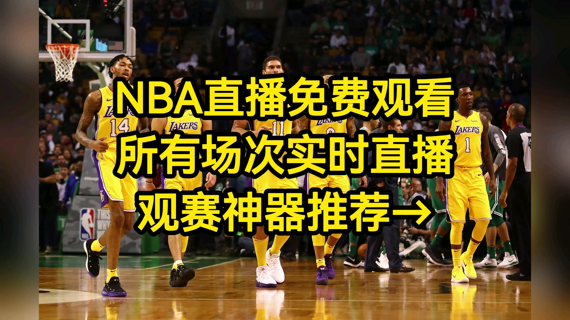 包含2022NBA夏季聯賽國王vs太陽的詞條